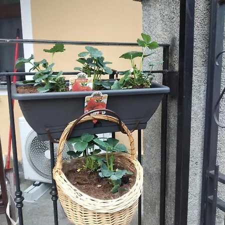 Casavacanzesanremo Hébergement de vacances *